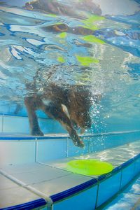 tauchsucht20251002_074810