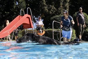 tauchsucht20251002_075408