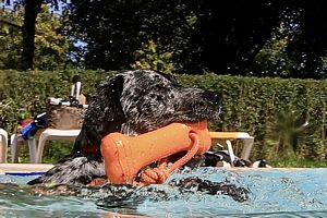 tauchsucht20251002_083924