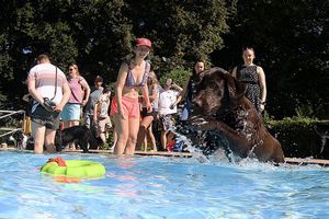 tauchsucht20251002_205832