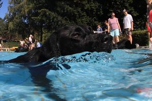 tauchsucht20251002_210652