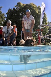 tauchsucht20251002_211346