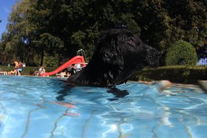 tauchsucht20251002_222130