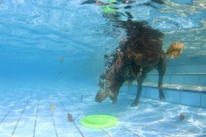 tauchsucht20251002_222158