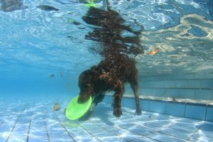 tauchsucht20251002_222514