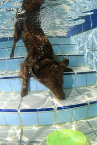 tauchsucht20251002_222626