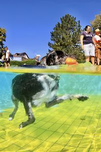 tauchsucht20251003_074530