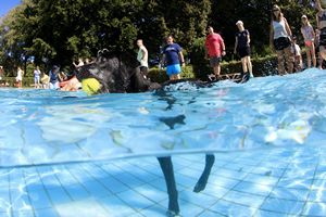 tauchsucht20251003_074548