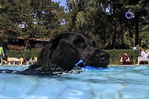 tauchsucht20251003_075358