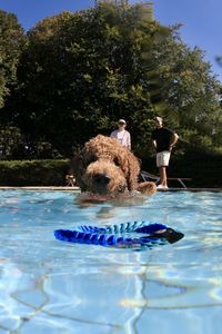 tauchsucht20251003_075432