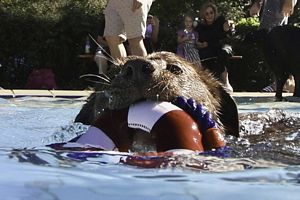 tauchsucht20251003_080456