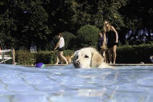 tauchsucht20251003_080918