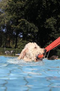 tauchsucht20251003_081108