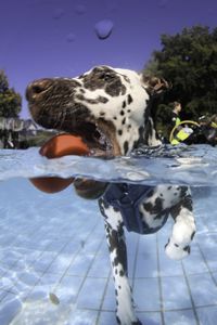 tauchsucht20251003_081758