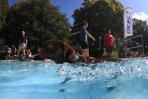 tauchsucht20251003_081952