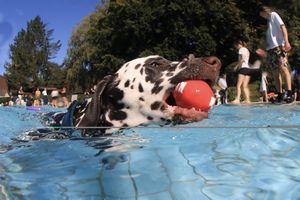 tauchsucht20251003_082722