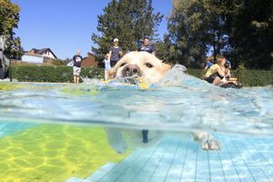 tauchsucht20251003_182754