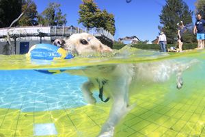 tauchsucht20251003_183636