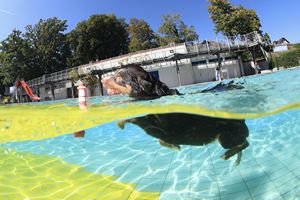 tauchsucht20251003_184932