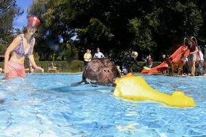 tauchsucht20251003_185208