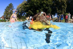 tauchsucht20251003_185228