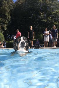 tauchsucht20251003_185602