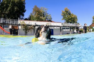 tauchsucht20251003_185630