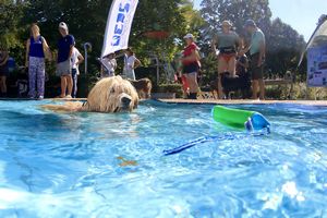 tauchsucht20251003_185718