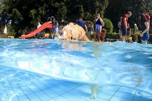 tauchsucht20251003_185826