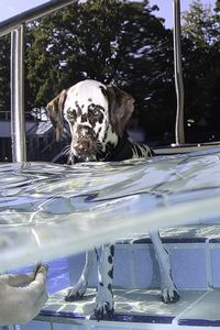 tauchsucht20251003_190058