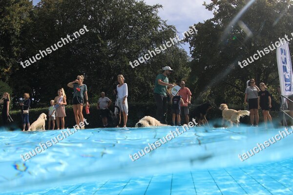 Hundeschwimmen Gauting 2026 - Foto vom 20.09.2026 um 14:09:06 Uhr