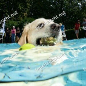 Hundeschwimmen Gauting 2026 - Foto vom 20.09.2026 um 14:10:09 Uhr