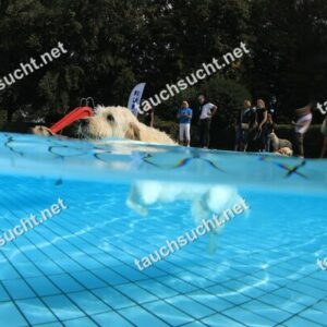Hundeschwimmen Gauting 2026 - Foto vom 20.09.2026 um 14:10:23 Uhr