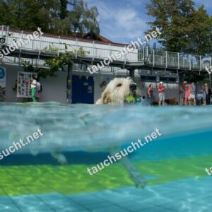 Hundeschwimmen Gauting 2026 - Foto vom 20.09.2026 um 14:10:44 Uhr