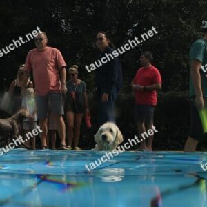 Hundeschwimmen Gauting 2026 - Foto vom 20.09.2026 um 14:10:51 Uhr