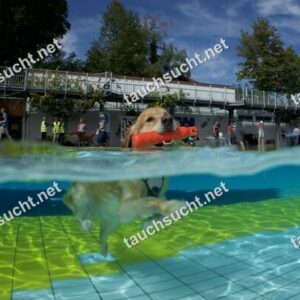 Hundeschwimmen Gauting 2026 - Foto vom 20.09.2026 um 14:11:29 Uhr
