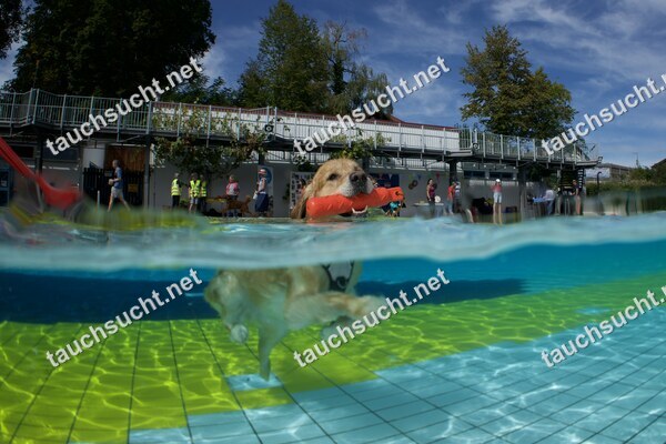 Hundeschwimmen Gauting 2026 - Foto vom 20.09.2026 um 14:11:29 Uhr