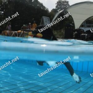 Hundeschwimmen Gauting 2026 - Foto vom 20.09.2026 um 14:12:11 Uhr