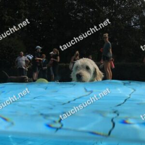 Hundeschwimmen Gauting 2026 - Foto vom 20.09.2026 um 14:12:23 Uhr
