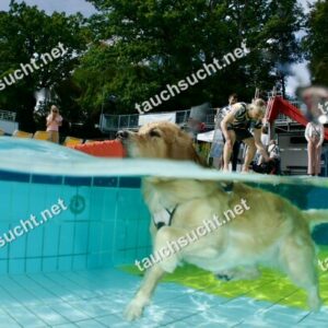 Hundeschwimmen Gauting 2026 - Foto vom 20.09.2026 um 14:12:42 Uhr