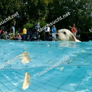 Hundeschwimmen Gauting 2026 - Foto vom 20.09.2026 um 14:12:58 Uhr