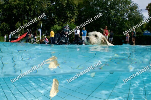 Hundeschwimmen Gauting 2026 - Foto vom 20.09.2026 um 14:12:58 Uhr