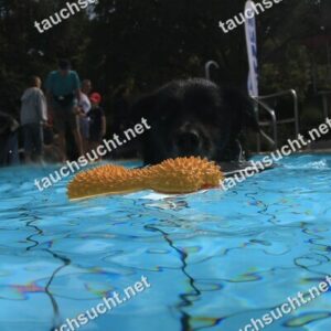 Hundeschwimmen Gauting 2026 - Foto vom 20.09.2026 um 14:13:45 Uhr