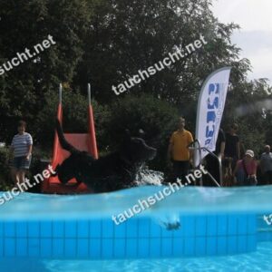 Hundeschwimmen Gauting 2026 - Foto vom 20.09.2026 um 14:17:18 Uhr
