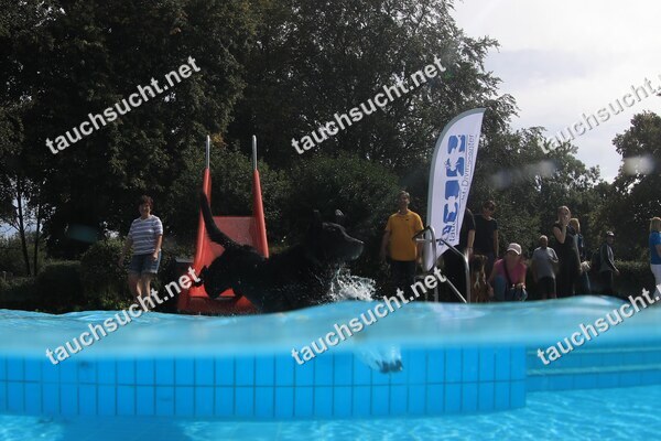 Hundeschwimmen Gauting 2026 - Foto vom 20.09.2026 um 14:17:18 Uhr