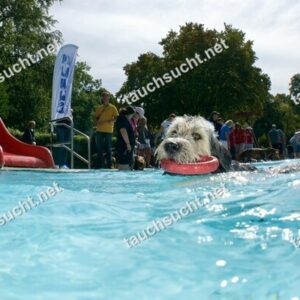 Hundeschwimmen Gauting 2026 - Foto vom 20.09.2026 um 14:17:31 Uhr