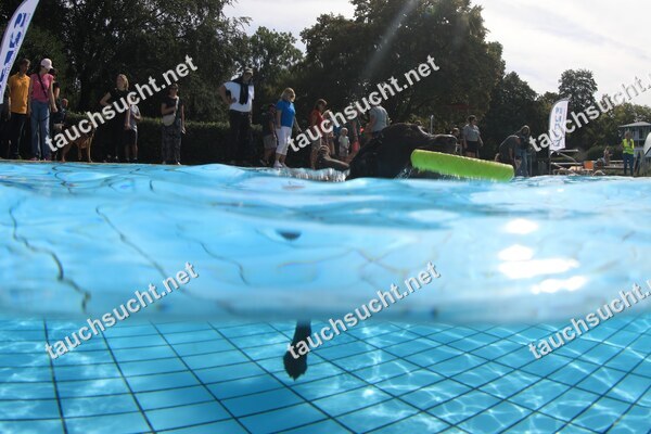 Hundeschwimmen Gauting 2026 - Foto vom 20.09.2026 um 14:18:27 Uhr