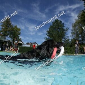 Hundeschwimmen Gauting 2026 - Foto vom 20.09.2026 um 14:19:07 Uhr