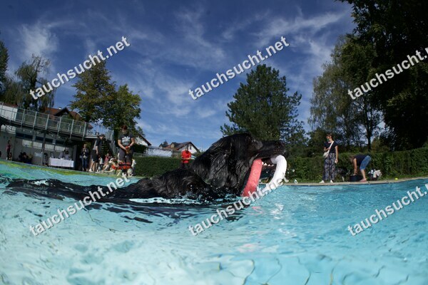 Hundeschwimmen Gauting 2026 - Foto vom 20.09.2026 um 14:19:07 Uhr