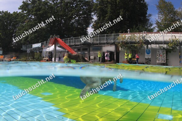 Hundeschwimmen Gauting 2026 - Foto vom 20.09.2026 um 14:19:41 Uhr